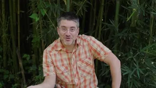 Video Images